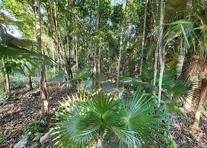 Casa Niyamaya *